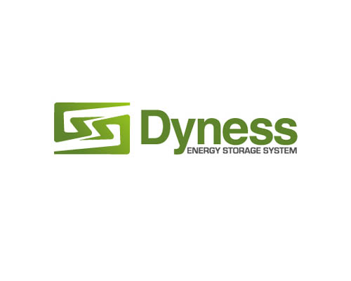 Dyness Energy Storage System